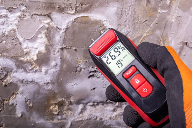Best Fast Mold Removal  in Jesup, GA