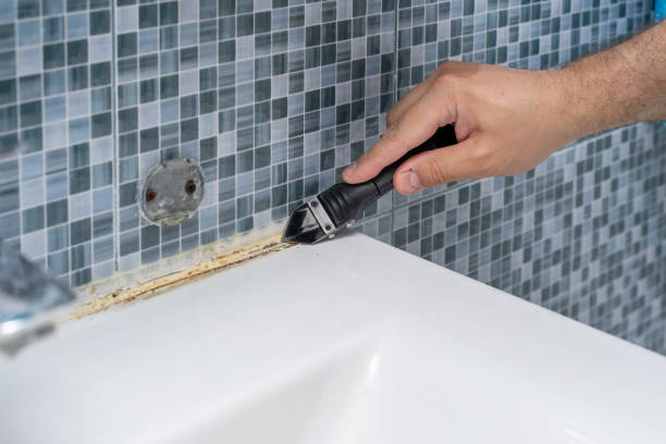 Best Same-Day Mold Removal  in Jesup, GA
