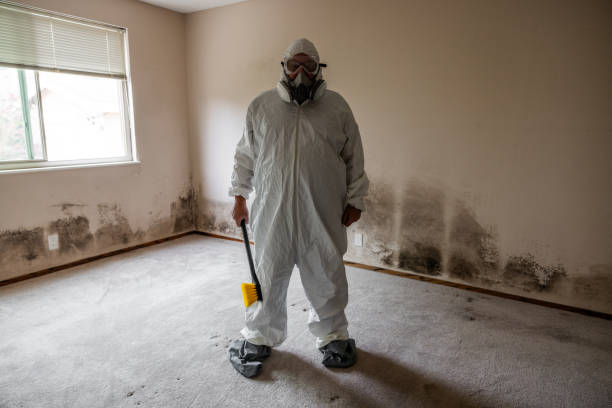 Best Emergency Mold Removal  in Jesup, GA